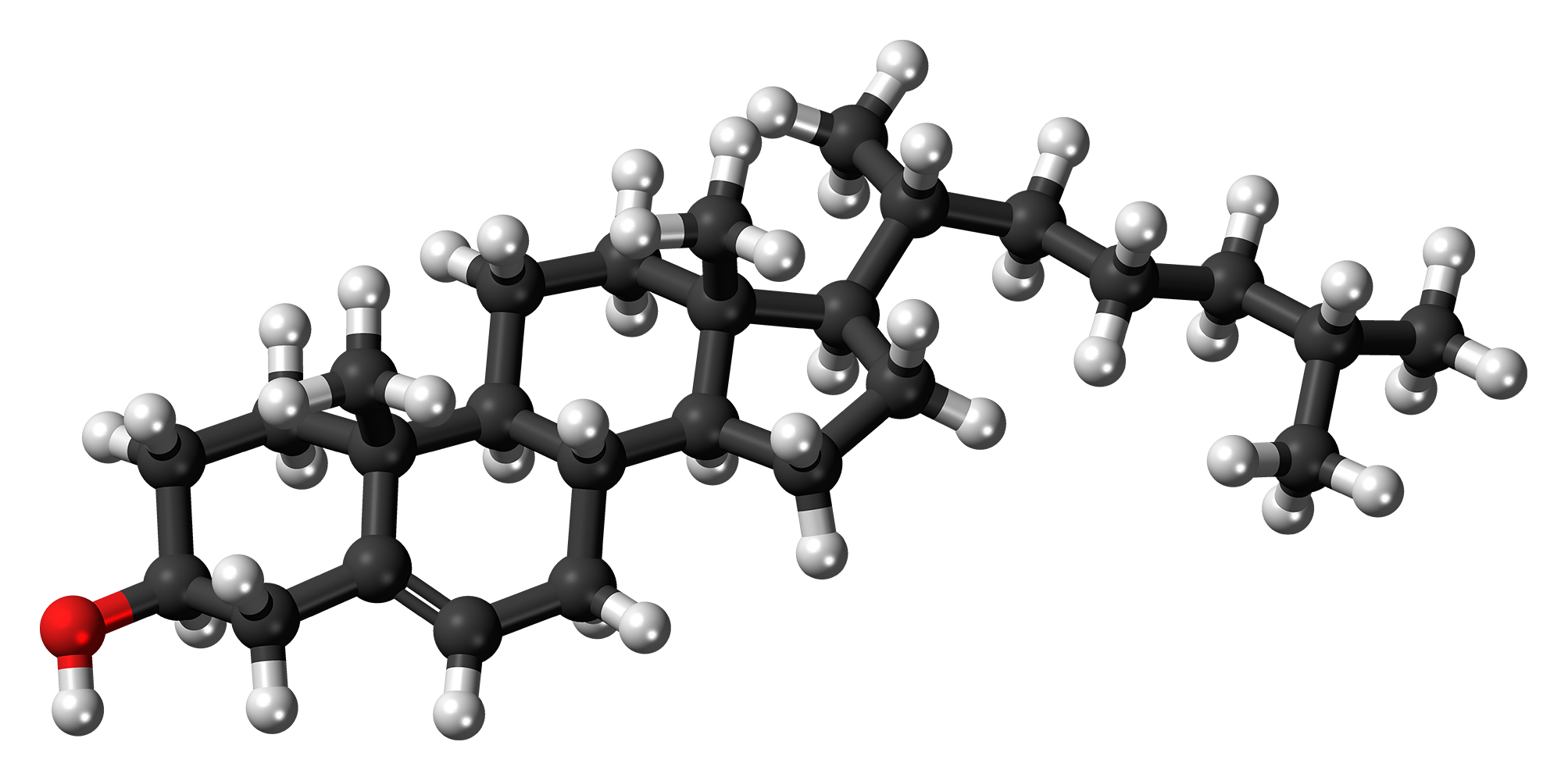 Molécula de colesterol, precursor hormonal