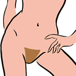 Zona de cuidado vulvar (área del bikini)