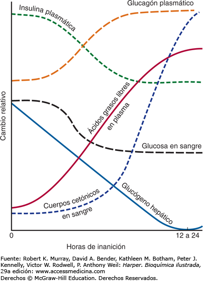 Esquema de ayuno intermitente