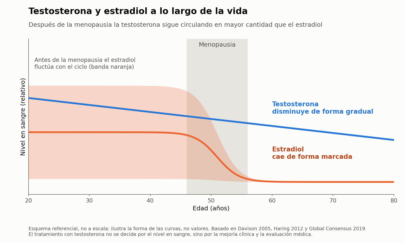 Esquema referencial: la testosterona disminuye gradualmente con la edad y el estradiol cae de forma marcada con la menopausia